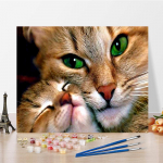Kunst DIY Maalimine numbrite j&auml;rgi Teemantmaal &Otilde;limaal Digitaalne &otilde;limaal Hobid Kodukaunistus Numbrite maalimine 40x50cm no frame