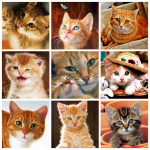 5D teemantmaal, t&auml;isruudukujuline kassi teemanttikandid, mosaiik, loom, k&auml;sitsi valmistatud kingitus koduks Full Round 30x30CM punane