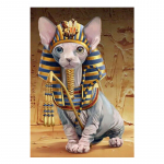 5D DIY teemantmaal Egiptuse kass Tikand Ristpistes 5D Kodukaunistuse kingitus Full Round 20x30CM