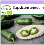 SAFLAX &ndash; orgaaniline &ndash; kuum t&scaron;illipipar &ndash; varajane jalapeno &ndash; 20 seemet &ndash; Capsicum annuum