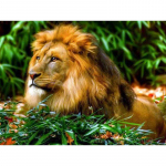 5D teemantmaali loomad t&auml;is&uuml;mmargused teemantmosaiigist l&otilde;vipildi tikandid Full Round 20x25CM