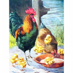 DIY 5D teemantmaaling kukk kana kana t&auml;isring puur mosaiik loom teemant tikandid ristpistes kodukaunistus Full Round 20x30CM