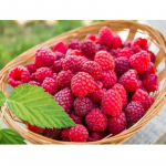 DIY 5D teemantmaaling puu ristpistes kivist pildid t&auml;isring mosaiik teemanttikandid k&ouml;&ouml;gi kodukaunistus Full Round 20x30CM