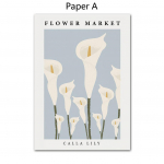 Abstraktsed P&otilde;hjamaade tr&uuml;kiplakatid Matisse Picasso lilleturg Ginkgo Biloba seinakunst L&otilde;uendimaal Pilt elutoa sisekujunduseks A4 21x30cm No Frame