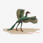 Archaeopteryx Anchiornis Triikimiskleepsud Soojus&uuml;lekandega Tr&uuml;kkimise Vin&uuml;&uuml;lplaastrid Kleeps Riietele DIY Applikatsioonid Pestavad Plaastrid