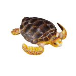 CollectA Loggerhead kilpkonna figuur (Keskmine)