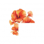 Lilledega l&uuml;liti kleebis Veekindel PVC isekleepuv koorimis- ja pulgakleebis elutuba, magamistuba, lastetoa seinal&uuml;liti kaunistuskleebis A