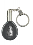 Saluki, Persian Greyhound, Arabian hound, Gazelle hound - pendant with a photo of a dog, crystal key ring in a gift box, a unique gift by Art-Dog