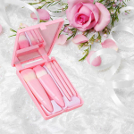 5 tk Travel Size meigipintslite komplekt Mini meigipintslid, v&auml;ike t&auml;isfunktsionaalne kosmeetikapintslite komplekt &uuml;mbrise ja Mirror Perfe'iga