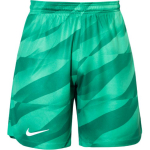 Nike Dri-Fit Super League V&auml;ravavahi Mugavad Hingavad Kiirkuivavad Vabaaja Jalgpallip&uuml;ksid Meeste alusp&uuml;ksid FV5278-324 2XL
