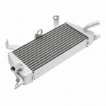 &Otilde;lijahuti Jahutusradiaator Sobib mudelitele BMW S1000RR 2019-2026 S1000XR 2020-2026 M1000RR 2021-2026 M1000R 2023-2026 M1000XR 2024-2026