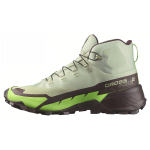 Salomon Cross Hike 2 Mid GORE-TEX Desert Sage Green Gecko Meeste Tossud Chocolate-Plum L47277700 42