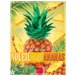 Les Tr&eacute;sors De Lily [Q6550] - Plaque m&eacute;tal humoristique 'Messages' (Y'a du soleil et d'l'ananas) - 40x30 cm roheline
