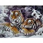 5D DIY teemantmaal  Animal Tiger  3D tikandid Ristpistes 5D Kodukaunistus 20X30CM