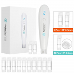 Hydra Pen H2 juhtmevaba professionaalne mikron&otilde;eluspliiats Hydrapen Hydra Roller Pen automaatne seerumi aplikaator 10 tk kassettidega H2 with 10pcs 0.5mm