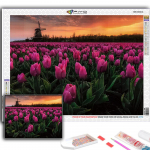 5D Teemantmaaling Lilled Tulbid Ristpistes Teemanttikandid Mosaiik Full Round 20X30CM