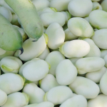 Windsori aedoa seemned Valge aedvili 50g