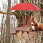 Oravate s&ouml;&ouml;tmislaud Funktsionaalne s&ouml;&ouml;tmistalli maja vihmavarjuga Chipmunk