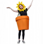 Naljakas P&auml;evalill Potti Taime Cosplay Kost&uuml;&uuml;m, T&auml;iskasvanutele Adult One Size oranž