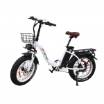 Elektriline jalgratas Kokkupandav Drvetion 20 750W Mootor City Ebike 48V 20AH Mehaanilised pidurid Maksimaalne s&otilde;iduulatus 110 km Kandev&otilde;ime 150 kg CT20 15AH valge