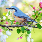 DIY Teemantmaal Ristpistes Teemanttikandid N&auml;put&ouml;&ouml; Teemantmosaiik Kodukaunistus 30x30CM