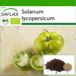 SAFLAX - Orgaaniline - Tomat - Roheline sebra - 10 seemet - Potisubstraadiga paremaks kasvatamiseks - Solanum lycopersicum
