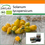 SAFLAX - Aed kotis - Orgaaniline - Tomat - Kollane allveelaev - 10 seemet - Substraadiga sobivas p&uuml;stises kotis - Solanum lycopersicum