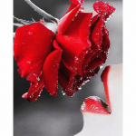 DIY t&auml;ispuur Teemantmaaling Naine Seksikas Kunst Tikand Tikand Mosaiik Kodukaunistuse kingitus Full Round 20x25CM