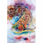 5D DIY Teemantmaal T&auml;isv&auml;rviline Kalade Teemanttikandid T&auml;ismosaiikkomplektid Ristpistes Kodukaunistus K&auml;sitsi valmistatud kingitused Round 20x30cm