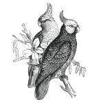 Les Tr&eacute;sors De Lily [R4074] &ndash; Must Papagoi kleebiseleht &ndash; 50x70 cm must