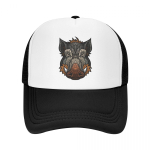 Moodsad unisex-metssigade metssigade veoautom&uuml;ts t&auml;iskasvanutele reguleeritav pesapallim&uuml;ts WoUnisex unisex hip-hop Snapback m&uuml;tsid p&auml;ikesek&uuml;barad Trucker Hat
