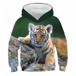 Laste kevad-s&uuml;gis tiigri dressipluus Moeprint 3D Harajuku Pullover Lastele Puuvillane pikkade varrukatega kapuutsid Vabaajar&otilde;ivad teismelistele 130
