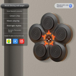 Fitness Boxing Target Leibkonna pu-poksimasin Intelligentne muusika poksimasin poksitreener