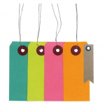 Etiquettes de couleur avec fil m&eacute;tal + 20 &eacute;tiquettes kraft Fanion