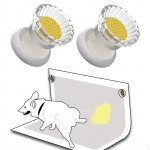 2 Pieces Dog Pee Pad Holder Fixing Buckle Indoor ,Easy Cleanup,Easy to Use,Secure latch Training
