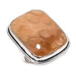 Fossil Coral Gemstone Handmade 925 Sterling Silver Jewelry Ring Size 8 p7r04