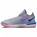 Nike Zoom LeBron NXXT Gen 1984 Meeste tossud Grey Wolf-Grey Pink-Spell DR8784-002 44.5