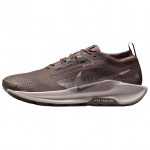 Nike Pegasus Trail 5 GORE-TEX Raudkivi Sametpruun Meeste Tennised Koobakivi Kolledžihall FQ0908-012 41