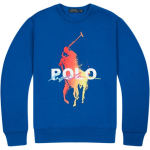 Polo Ralph Lauren Tr&uuml;kitud Mustriga &Uuml;mmarguse Kaelusega Dressipluus Meeste Dressipluus MNPOKNI16821864-401 XS