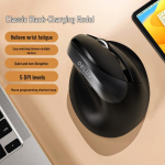 Delux M618mini ergonoomiline vertikaalne juhtmevaba hiir