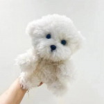Armas simulatsiooniga lokkis koer Bichon koer Plush m&auml;nguasi Kawaii p&auml;ris elu plush m&auml;nguasjad t&uuml;druku s&uuml;nnip&auml;eva t&uuml;druks&otilde;bra kingitus aksessuaarid