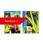 [EELTELLIMUS] aespa &ndash; 2. album LEMONADE (LEMONADE Ver.) Random 1pcs