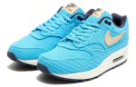 Nike Air Max 1 Samet Baltic Blue FB8915-400 44.5 blue