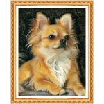 Teemantmaaling Loomakoer T&auml;is&uuml;mmargune teemanttikandid Silmus Koer N&auml;put&ouml;&ouml; Teemant kodukaunistus 20X30CM