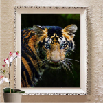 5d Teemantmaal Teemanttikandid Rhinestones Teemantkunst Seinakunst Decor Full Round 20X30CM