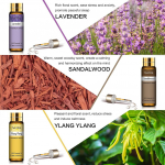 PHATOIL 9 tk aroomi eeterliku &otilde;li kinkekomplekt Jasmine Rose Lemon Therapeutic Grade loodusliku eeterliku &otilde;li komplekt niisutaja hajuti stressi leevendamiseks #2-9pcs/set