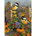 5D teemantv&auml;rvimise lindude komplekt DIY t&auml;ispuur, &uuml;mmargune teemanttikandid, loomamosaiik Pilt kivikividest kodukaunistus Full Round 20x30CM