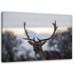L&otilde;uendiprint Deer Animals Landscape Nature 60x40 sinine