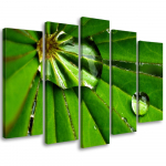 Viieosalise pildiga l&otilde;uendiprint Leafy Rosy Drops 100x70 roheline