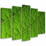 Viieosalise pildiga l&otilde;uenditr&uuml;kk Green Foliage Nature 100x70 roheline